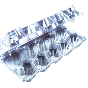 10‘lu YUMURTA VİYOLÜ